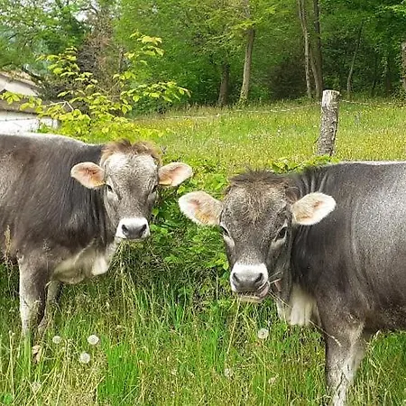 Dell'altopiano Farm stay Serle